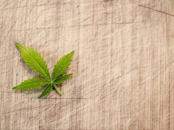 Marihuana lecznicza co leczy